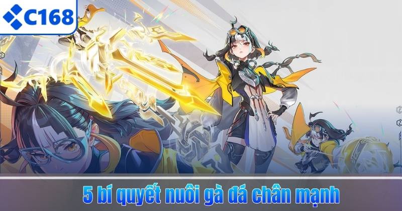 Cách Nuôi Gà Đá Chân Mạnh – 5 Bí Quyết Tăng Lực Đá & Sức Bền 6 5 bí quyết nuôi gà đá chân mạnh