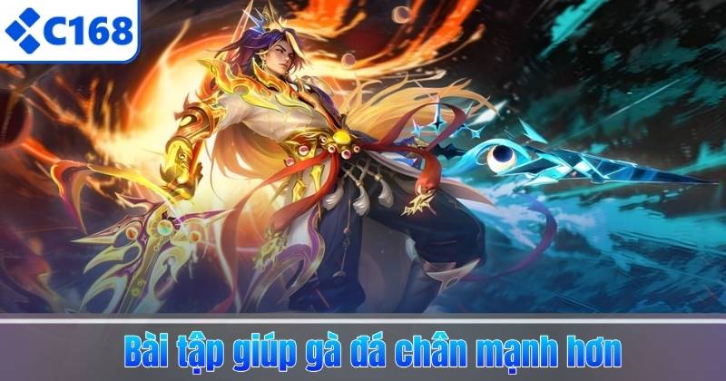 Cách Nuôi Gà Đá Chân Mạnh – 5 Bí Quyết Tăng Lực Đá & Sức Bền 7 Bài tập giúp gà đá chân mạnh hơn