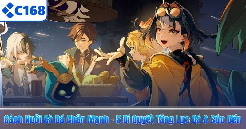 Cách Nuôi Gà Đá Chân Mạnh – 5 Bí Quyết Tăng Lực Đá & Sức Bền